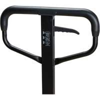 Steel Wheel Pallet Truck, Steel, 48" L x 27" W, 5500 lbs. Capacity PB Rental Co. Ltd.