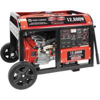 Gas Powered Generators