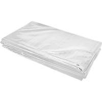 Insulated Tarp, Polyethylene, White, 20' x 12' x 8 mils PB Rental Co. Ltd.