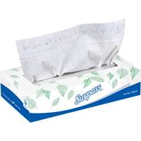 Surpass&reg; Facial Tissue, 2 Ply, 8.3" L x 7.8" W, 100 Sheets/Box PB Rental Co. Ltd.