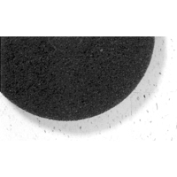 7200 Series Pad, 17", Stripping, Black PB Rental Co. Ltd.