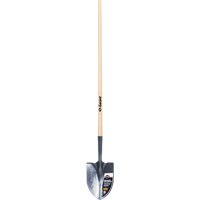 Pelle ronde Pro, Lame Acier durci, Bois, Manche Droit PB Rental Co. Ltd.