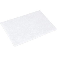 Scotch-Brite Hand Pads, 9" L x 6" W PB Rental Co. Ltd.