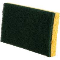Utility Sponges, Cellulose, 6" W x 3-1/2" L PB Rental Co. Ltd.