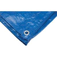 Tarp, Standard Duty, Blue, 7' x 5' x 4 mils PB Rental Co. Ltd.