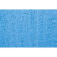 Tarp, Standard Duty, Blue, 7' x 5' x 4 mils PB Rental Co. Ltd.