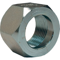 Dixon&reg; Mining Hex Nut, 1", Zinc Plated, NPT Thread PB Rental Co. Ltd.