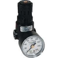 R&eacute;gulateur miniature R04 Wilkerson, 1/4" NPT, PSI max. de 300 psi, Standard PB Rental Co. Ltd.