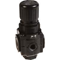 Series 1 Manifold Regulator, 1/4" NPT, 150 PSI Max. PSI, Standard PB Rental Co. Ltd.