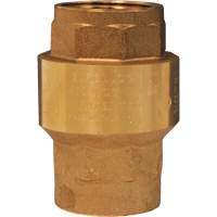 Horizontal Swing Check Valve PB Rental Co. Ltd.