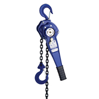 Lever Hoist with 3' Chain, 3' Lift, 500 lbs. (0.25 tons) Capacity PB Rental Co. Ltd.