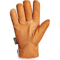 Gants Endura, Grand, Paume en Synth&eacute;tique, Doublure en Thinsulate PB Rental Co. Ltd.