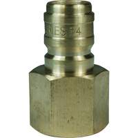 Bouchon d'interconnecteur &agrave; passage direct DQC de s&eacute;rie E, Laiton, 3/4", NPTF femelle, 1700 PSI PB Rental Co. Ltd.