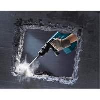 Demolition Hammer PB Rental Co. Ltd.