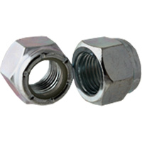 Nylock Nut, 5/16"-18 Dia., Zinc Cr+3, Coarse PB Rental Co. Ltd.