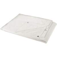 Tarp, Heavy-Duty, White, 30' x 20' x 6 mils PB Rental Co. Ltd.