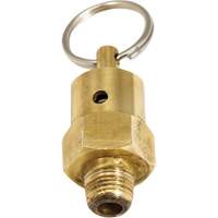 Viton&reg; Pressure Relief Valve PB Rental Co. Ltd.