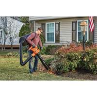 3-in-1 VacPack Leaf Blower/Vacuum/Mulcher, 250 MPH Output, Electric PB Rental Co. Ltd.