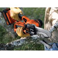 20V Max* Cordless Alligator&reg; Lopper PB Rental Co. Ltd.