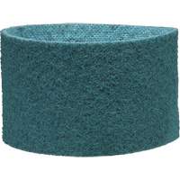 Scotch-Brite Surface Conditioning Belt PB Rental Co. Ltd.