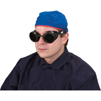 Lunettes &agrave; coque, Lentille 5,0, Anti-&eacute;gratignures, Ventilation Ferm&eacute; PB Rental Co. Ltd.