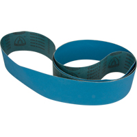 Courroie abrasive bleu PB Rental Co. Ltd.
