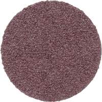 Meule en toile PSA 348D, 20" dia., Grain 60, Oxyde d'aluminium PB Rental Co. Ltd.