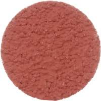 Cubitron II Roloc Durable Edge Disc, 2" Dia., 36+ Grit, Ceramic PB Rental Co. Ltd.