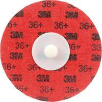 Cubitron II Roloc Durable Edge Disc, 3" Dia., 36+ Grit, Ceramic PB Rental Co. Ltd.