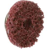 Disque TS &agrave; changement rapide 800069 P.A.R.T. # 21 Standard Abrasives, 5/8" dia., Grain Moyen, Oxyde d'aluminium PB Rental Co. Ltd.