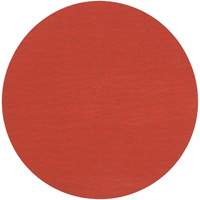 Roloc 787C Fibre Disc, 2" Dia., 120+ Grit, Ceramic PB Rental Co. Ltd.