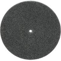 Meule unitaris&eacute;e EXL Scotch-Brite, 5" x 1/4", Arbre de 1/4", Grain de Fin, Carbure de silicium PB Rental Co. Ltd.