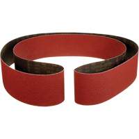 Courroie abrasive 984F Cubitron II , , C&eacute;ramique, Grain 36+ PB Rental Co. Ltd.