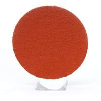 Lock Back Sanding Discs