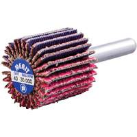 Shank Mounted Mini Flap Wheel, Ceramic Alumina, 40 Grit, 1" x 1" x 1/4" PB Rental Co. Ltd.