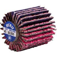 Threaded Mini Flap Wheel, Ceramic Alumina, 40 Grit, 1" x 1" x 1/4"-20 PB Rental Co. Ltd.