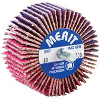 Threaded Mini Flap Wheel, Ceramic Alumina, 40 Grit, 2" x 1" x 1/4"-20 PB Rental Co. Ltd.