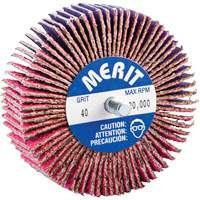 Threaded Mini Flap Wheel, Ceramic Alumina, 40 Grit, 3" x 1" x 1/4"-20 PB Rental Co. Ltd.