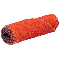 Rouleau de cartouche Blaze R920, 60 Grain, 3/8" dia., C&eacute;ramique d'alumine, 1-1/2" lo, 1/8" Dimension de l'arbre PB Rental Co. Ltd.
