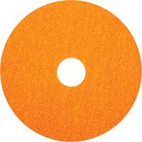 BlazeX F980 Fiber Disc, Ceramic Alumina, 36, 5" Dia x 7/8" Arbor PB Rental Co. Ltd.