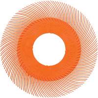 Scotch-Brite Type C Precision Radial Bristle Brush PN-RB without Adapter, Ceramic, 80+ Grit, 6" Dia. PB Rental Co. Ltd.