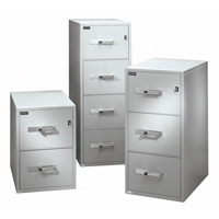 Classeurs &agrave; l'&eacute;preuve du feu, Acier, 2 tiroirs, 19-3/4" la x 31" p x 28" h, Beige PB Rental Co. Ltd.