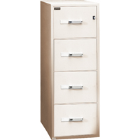 Classeurs &agrave; l'&eacute;preuve du feu, Acier, 4 tiroirs, 19-3/4" la x 31" p x 54" h, Beige PB Rental Co. Ltd.