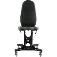 Flex III Ergonomic Chair PB Rental Co. Ltd.