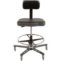 TF160 Industrial Grade Ergonomic Chair, Mobile, Adjustable Height, 300 lbs. Capacity PB Rental Co. Ltd.