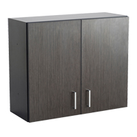Armoire modulaire murale, 30" h x 36" la x 15" p, 1 tablettes, M&eacute;lamine, Nuit d'Asie/noir PB Rental Co. Ltd.
