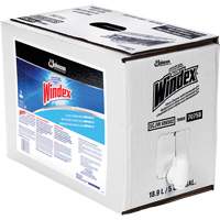 Windex&reg; Glass Cleaner with Ammonia-D&reg;, 5 gal., Bag PB Rental Co. Ltd.