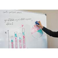 Whiteboard Eraser PB Rental Co. Ltd.
