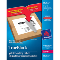TrueBlock Laser Shipping Labels, 11" W x 8.5" L, White PB Rental Co. Ltd.