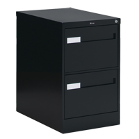 Vertical Filing Cabinet with Recessed Drawer Handles, 2 Drawers, 18.15" W x 26.56" D x 29" H, Black PB Rental Co. Ltd.